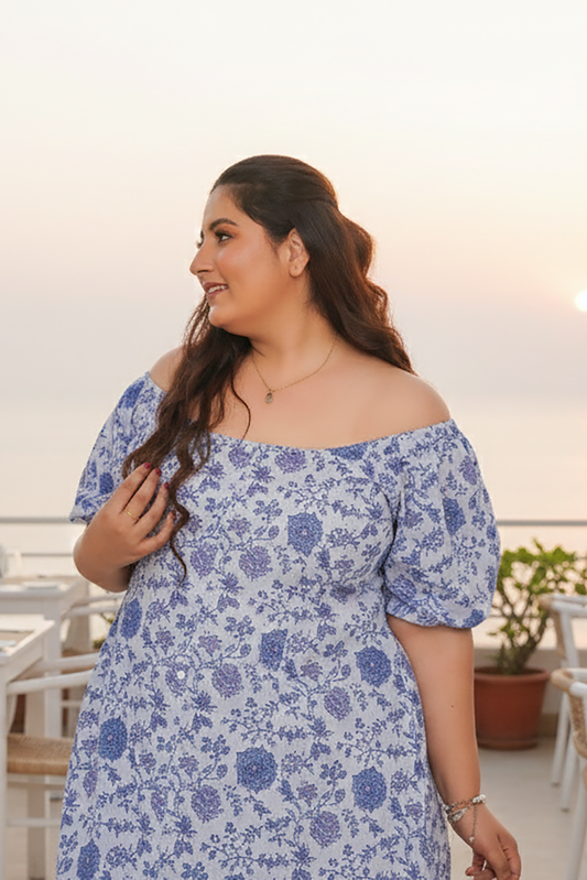 Ice Blue Gaga Printed Cotton Dress – plus size cotton